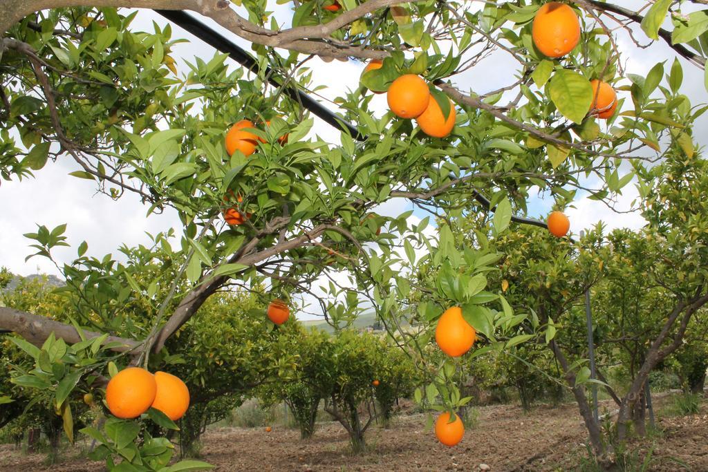 Tenuta Lanza Il Mulino Acquaviva Platani Eksteriør bilde
