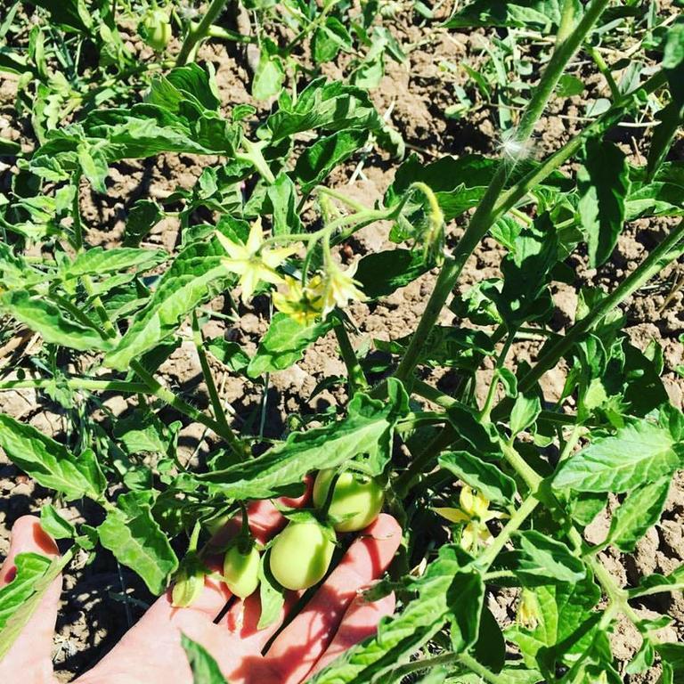 Tenuta Lanza Il Mulino Acquaviva Platani Eksteriør bilde