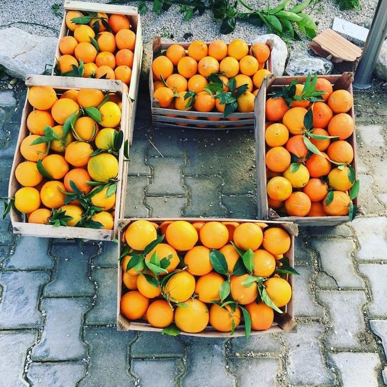 Tenuta Lanza Il Mulino Acquaviva Platani Eksteriør bilde