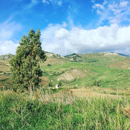 Tenuta Lanza Il Mulino Acquaviva Platani Eksteriør bilde